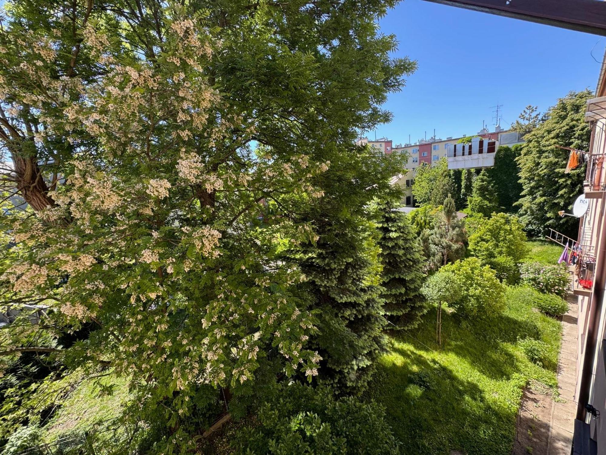 Apartament Akacja Centrum Rzeszow Ngoại thất bức ảnh